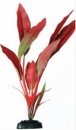 Растение шелковое №049 Криптокорина красная 20 см.