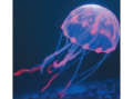 Decor 075 Силиконовая Медуза Малая Фиолетовая 5*15 см (Barbus)